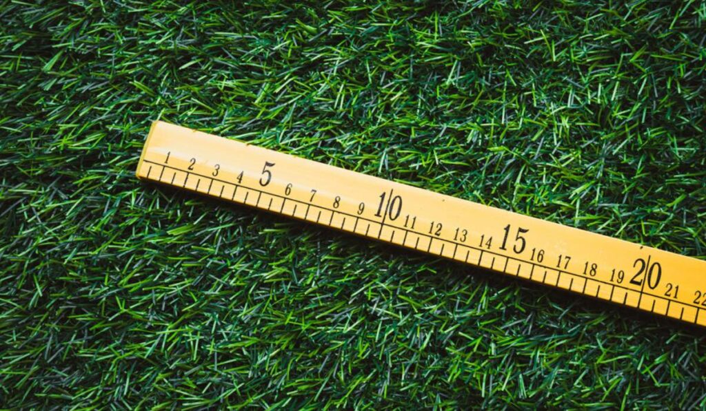 Understanding Land Measurements: Hectares, Square Meters, Square Feet, and Acres